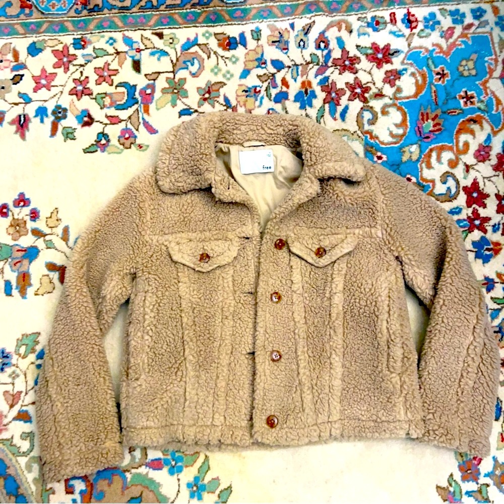 ARITZIA Wilfred Teddy Coat